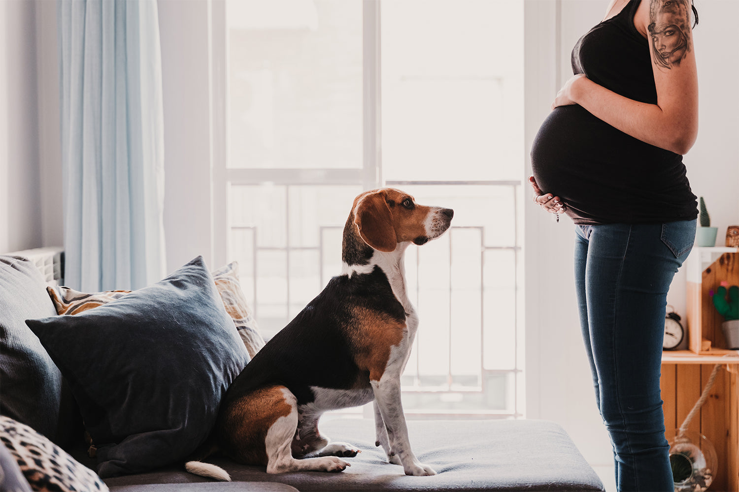 Young pregnant woman at home with her cute dog