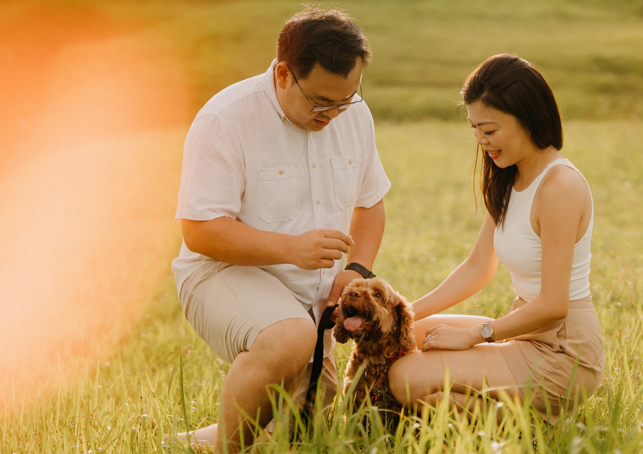 Man and woman sitting on grass with a dog, enjoying a sunny day outdoors.