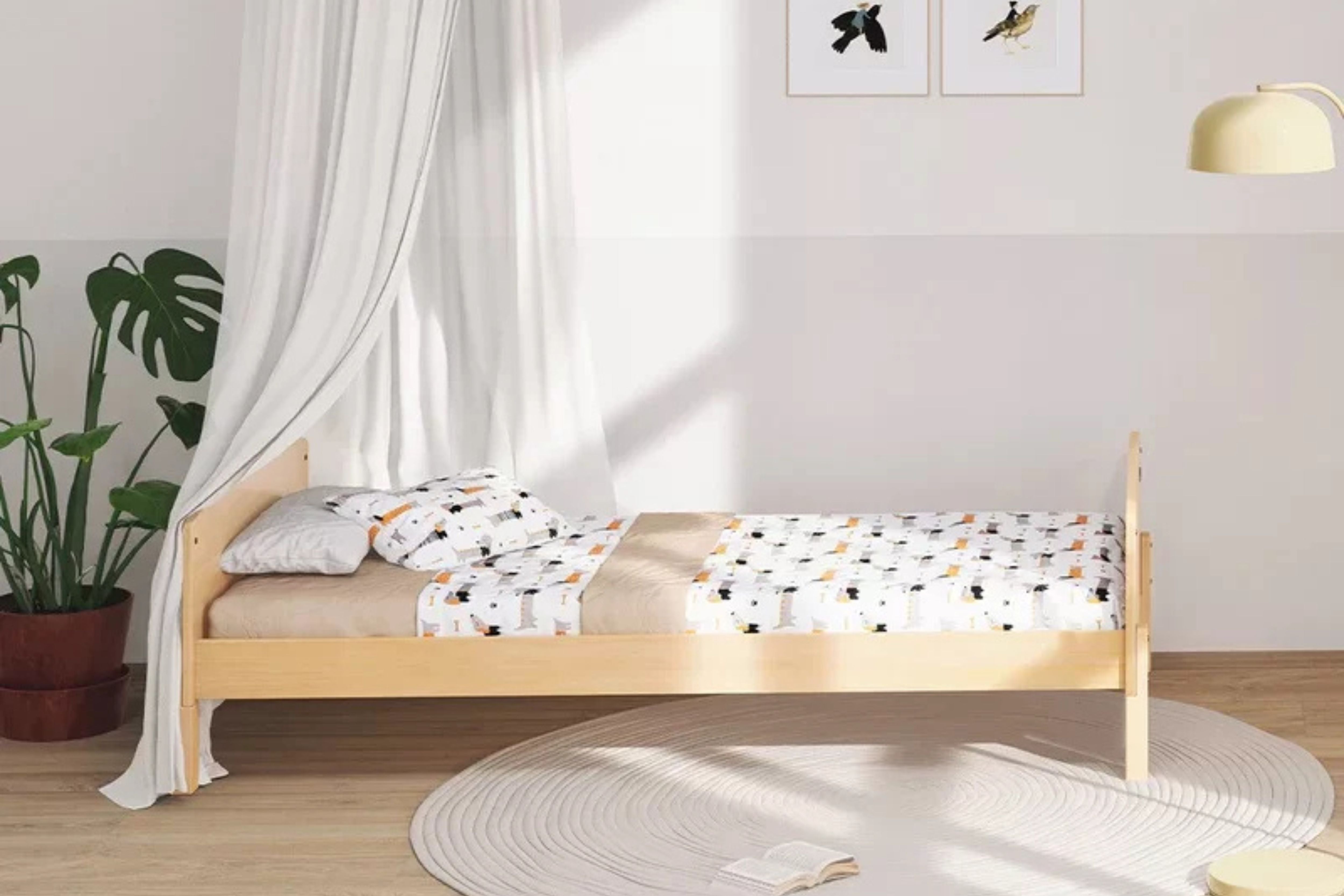 Boori Matilda Single Floor Bed, with legs, displayed in the middle of a room