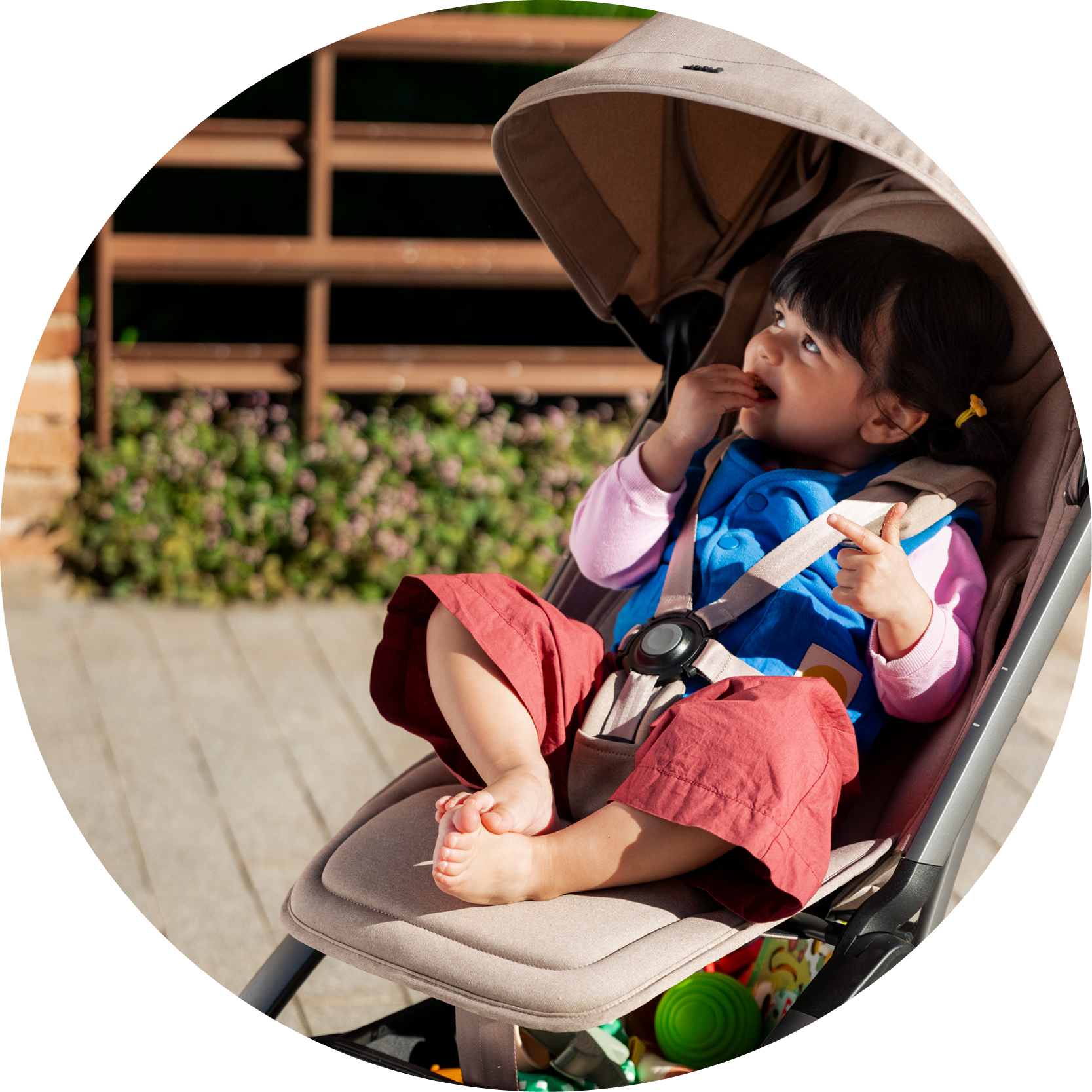joolz aer umbrella Joolz Aer2 Baby Stroller: Lightweight Cabin Sized Stroller – Hatchery Cribs Singapore