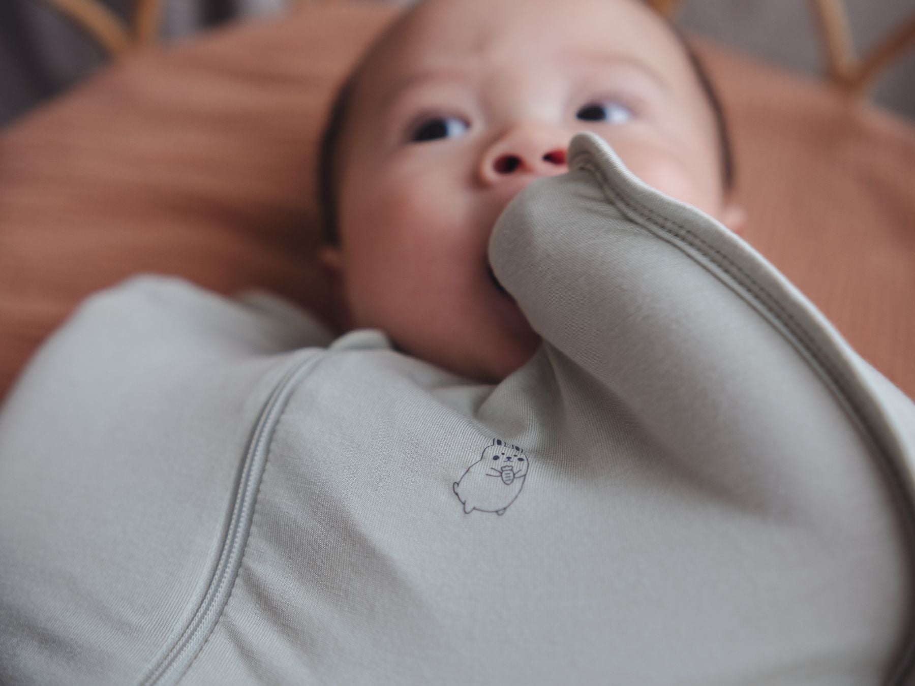 Baby wrapped in a swaddle bag, lying comfortably in a cot
