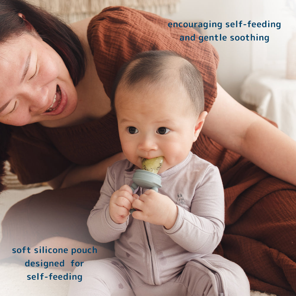 Dear Cherie Baby 2-in-1 Fresh Food Feeder & Teether (3 Colours)