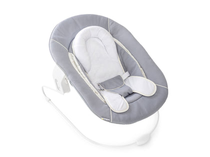 hauck alpha 2 in 1 bouncer