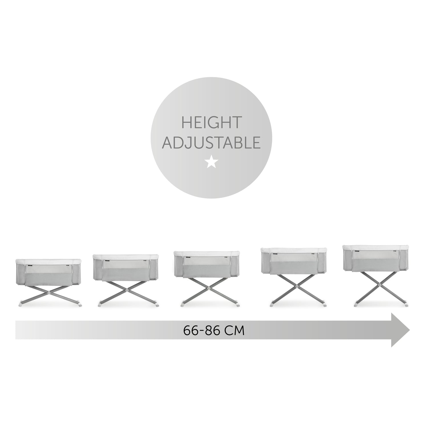 hauck bedside cot five different heights