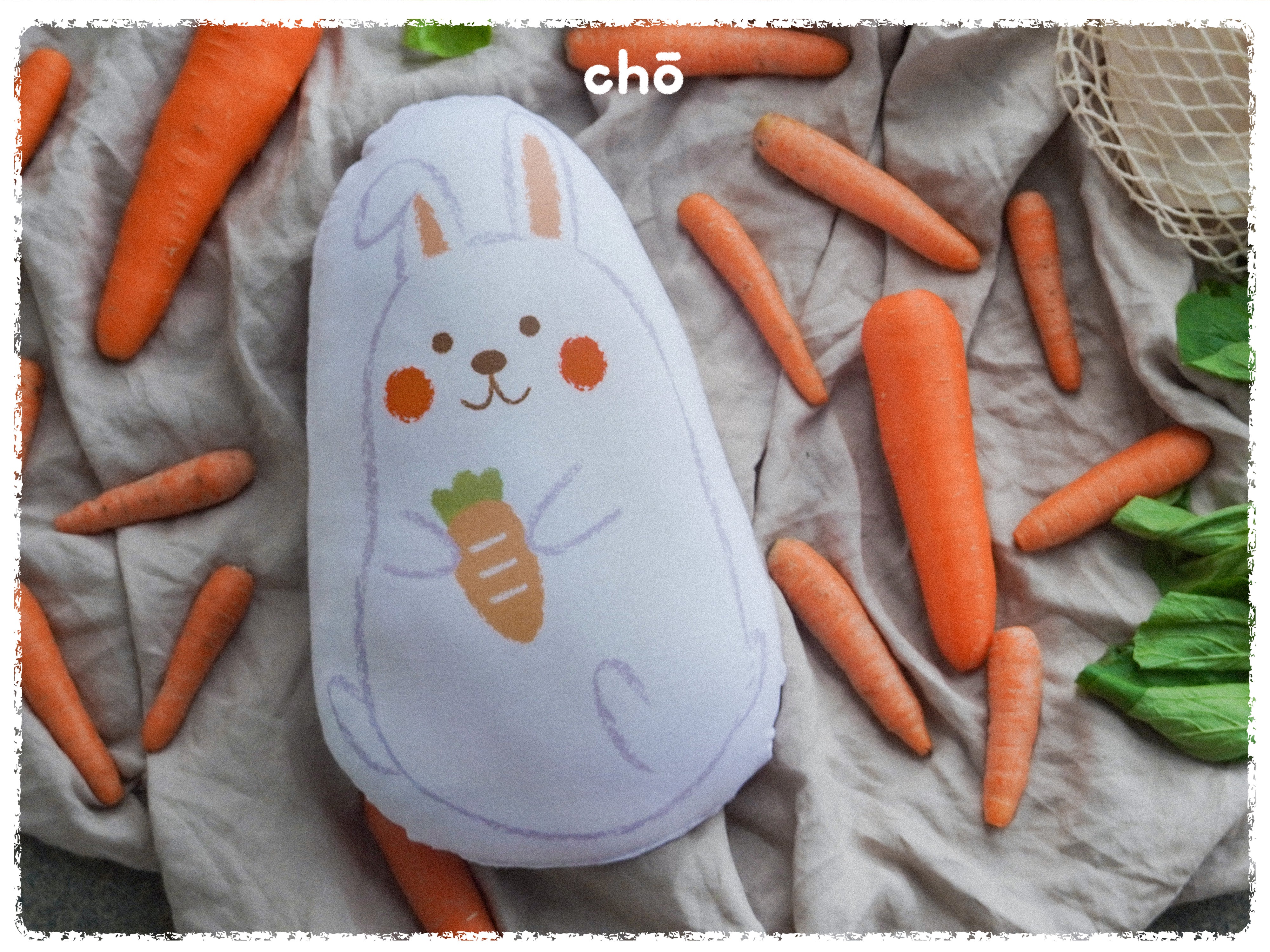 nom nom momo snuggy plushie cushion and a bed of carrots